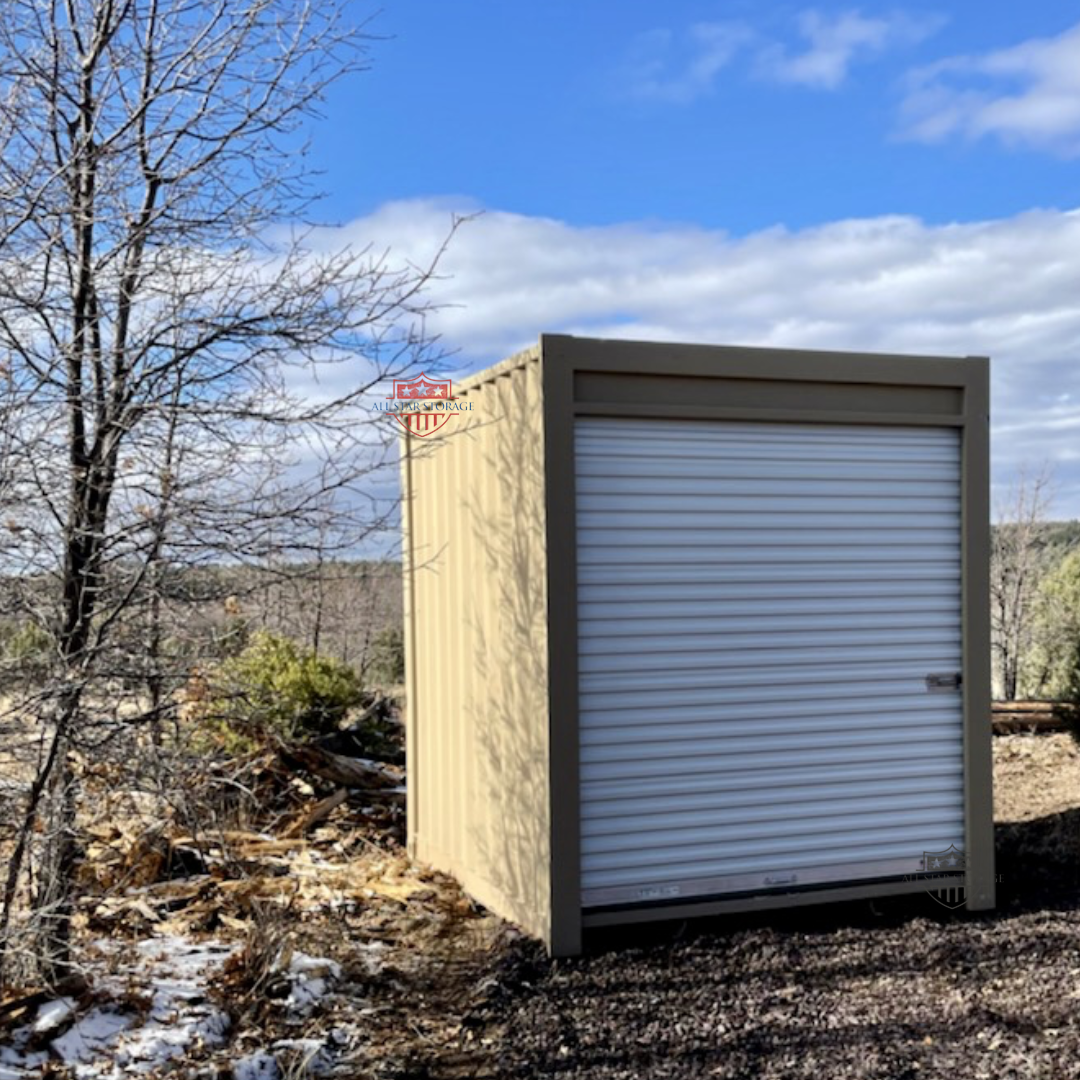 10ft Shipping Container w_ End Roll Up Door Tan